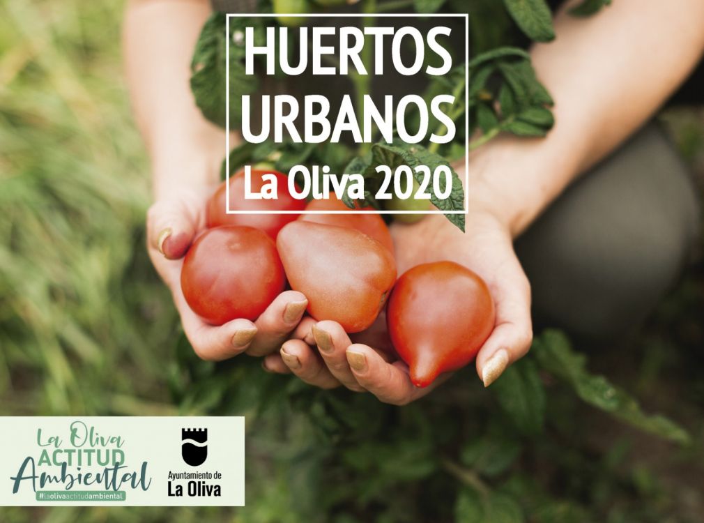 La Oliva Actitud Ambiental-huertos urbanos