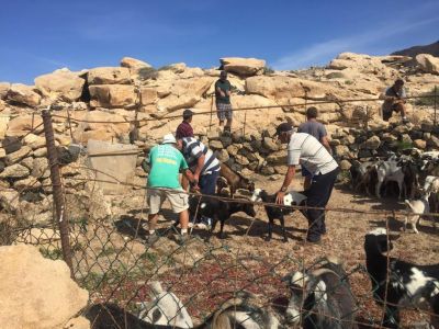 gambuesasmunicipiopájarafotoarchivo