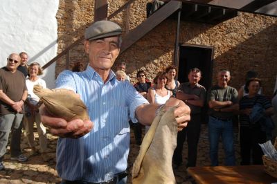 jornada_puertas abiertas