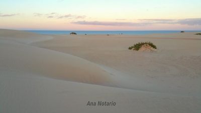 Dunas_Revista-Mi-Pueblo-Fuerteventura