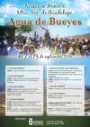programa_fiestas_agua_de_bueyes